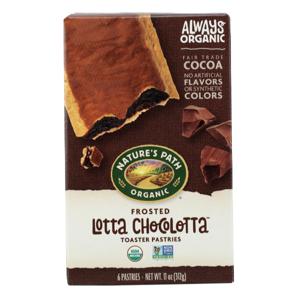 Nature's Path Frosted Lotta Chocolotta Toaster Pastries - 11 Ounce