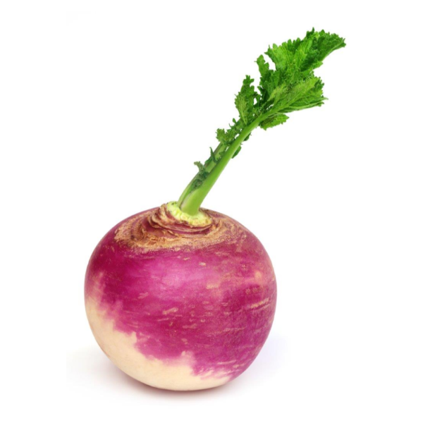 Turnips - 1 Pound