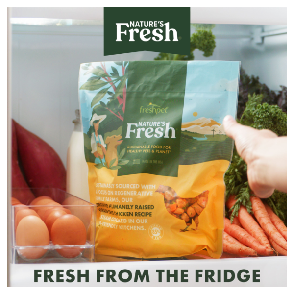 Freshpet Nature's Fresh Grain Free Turkey Recipe Refrigerated Dog Food - 5 Pound